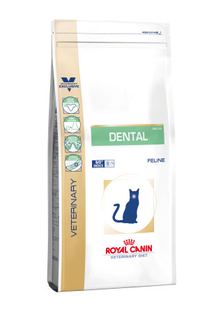Dental